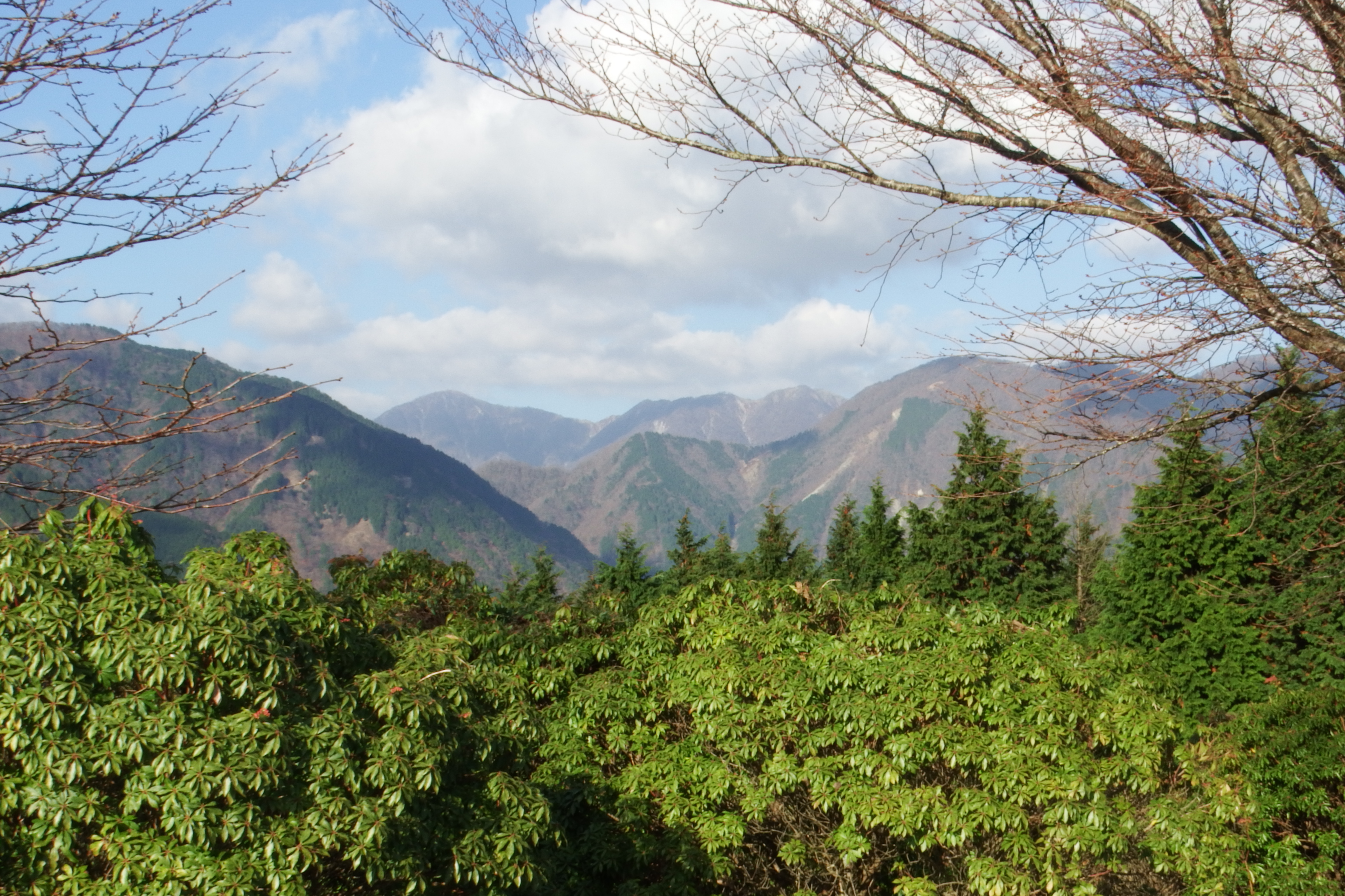 Dscf6470 Jpg